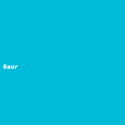 Baur