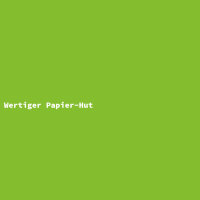 Wertiger Papier-Hut
