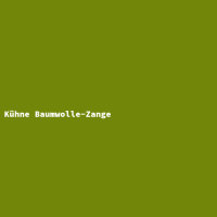 Kühne Baumwolle-Zange